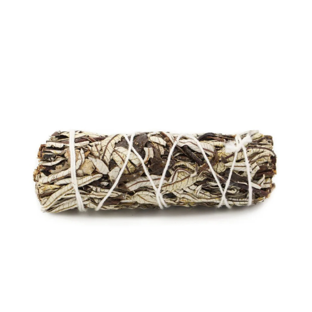 Ausytasis pipiras | Yerba Santa