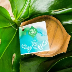 Holy Lama rankų darbo muilas Neem & Tulsi palmės lapo dėžutėje